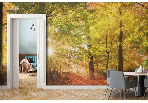 Carta da parati bosco autunno arancione 2