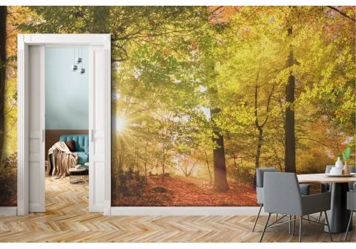 Carta da parati bosco autunno arancione 2