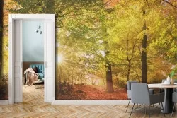 Adhesive Wallpaper Autumn Orange Forest
