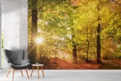 Carta da Parati bosco arancione