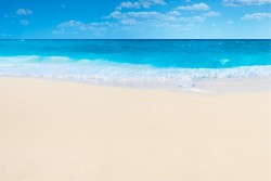 Summer sea wallpaper