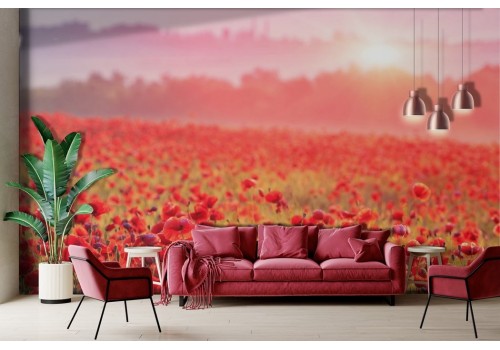 Red poppy meadow wallpaper