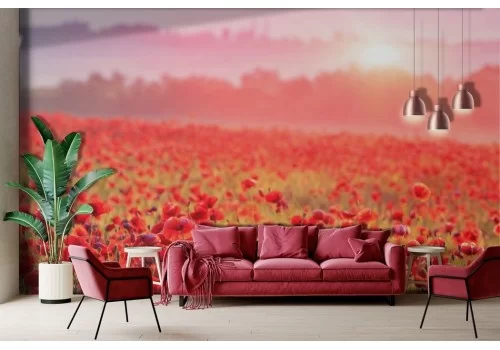 Red poppy meadow wallpaper
