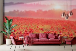 Red poppy meadow wallpaper