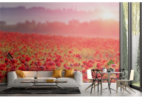 Red poppy meadow wallpaper 2