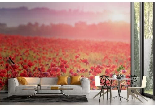 Red poppy meadow wallpaper 2