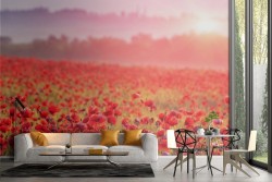 Adhesive Wallpaper Red Poppy Field