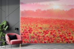 Red Poppies Wallpaper