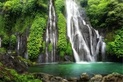 Green forest waterfall wallpaper