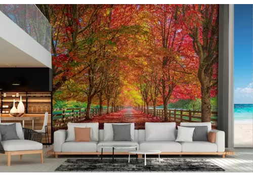 Carta da Parati paesaggio bosco viale alberato autunno