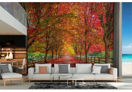 Carta da Parati paesaggio bosco viale alberato autunno