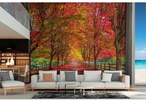 Wallpaper landscape forest tree-lined avenue autumn