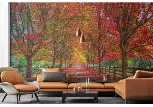 Carta da Parati paesaggio bosco viale alberato autunno 2