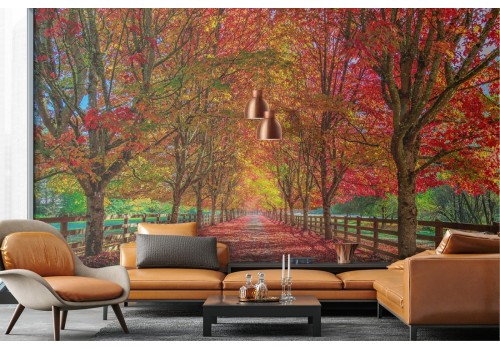 Wallpaper landscape forest tree-lined avenue autumn 2