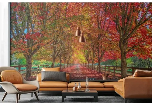 Wallpaper landscape forest tree-lined avenue autumn 2