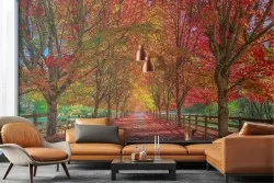 Carta da Parati paesaggio bosco viale alberato autunno