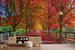 Wallpaper Leaves and Flowers Forests and Trees