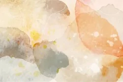 Eleganza con tonalità soffuse