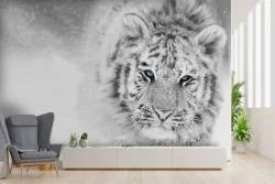 Carta da Parati tigre bianca nella neve foto