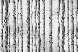 Tronchi in toni grigi per un look naturale e moderno