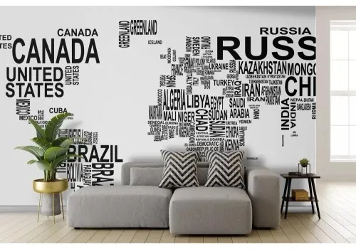 Carta da parati mappamondo bianco e nero