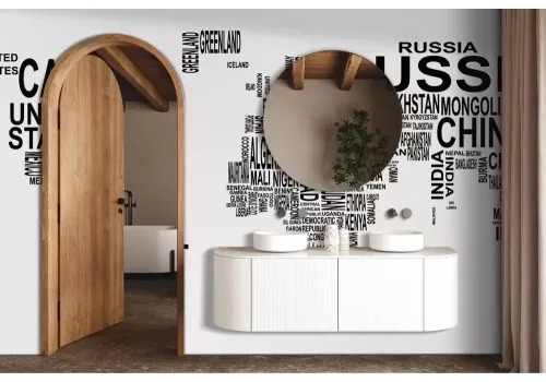 Carta da parati mappamondo bianco e nero 2