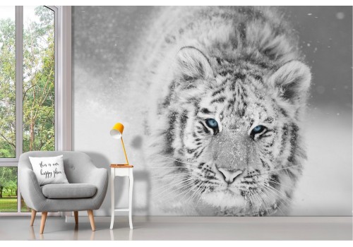 White tiger in the snow wallpaper photo 2