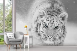 Carta da Parati tigre bianca nella neve foto