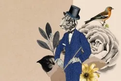 Atmosfera creativa per le pareti della tua casa