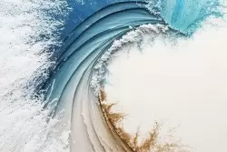 Eleganza naturale con motivi acquatici