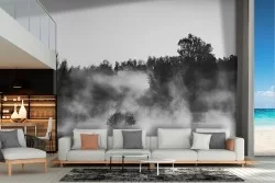 Wallpaper lake with forest landscape black and white