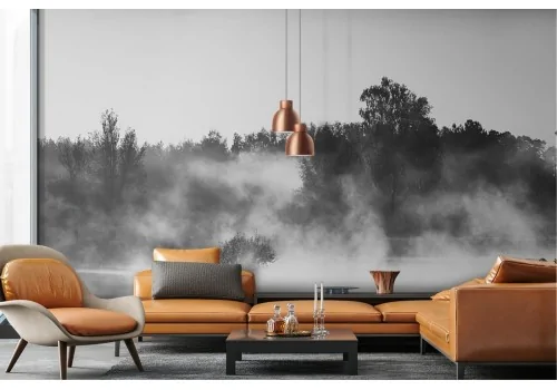 Wallpaper lake with forest landscape black and white 2