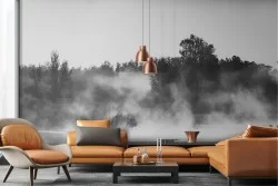 Carta da Parati lago con foresta paesaggio bianco e nero