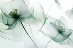 Raffinata eleganza con fiori trasparenti