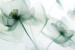 Raffinata eleganza con fiori trasparenti