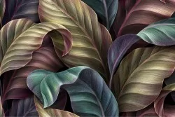 Carta da parati per un tocco esotico