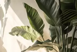 Stile tropicale e rilassante per ogni ambiente