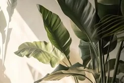 Stile tropicale e rilassante per ogni ambiente