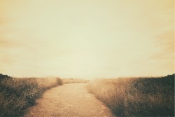 Wallpaper Landscapes and Nature Meadows and Hills