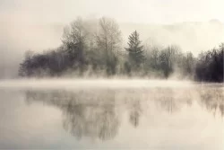 Carta da Parati Fiumi Cascate Laghi Foreste e Alberi