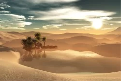 Wallpaper Landscapes and Nature Desert Oasis