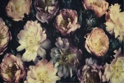 Wallpaper Design and Styles Flora and Fauna Flowers Nature Vintage
