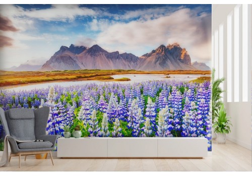 Wallpaper grass flowers with mountains