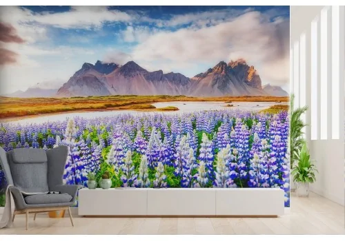 Wallpaper grass flowers with mountains