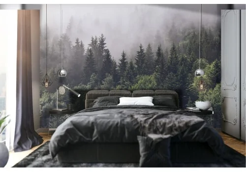 Wallpaper landscape forest with fog nature