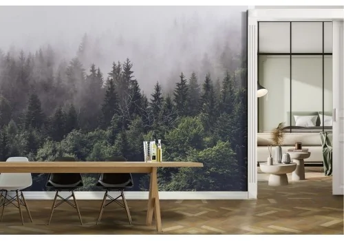 Carta da Parati paesaggio foresta con nebbia natura 2