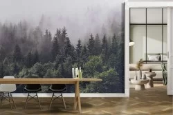 Wallpaper landscape forest with fog nature