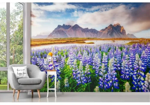 Wallpaper grass flowers with mountains 2