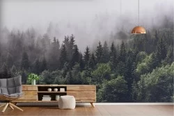 Wallpaper of Forests and Trees