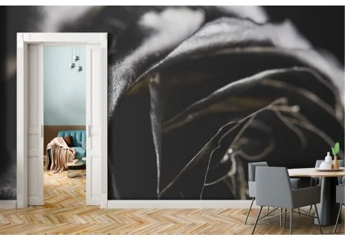 Carta da Parati rosa nera gigantografia foto